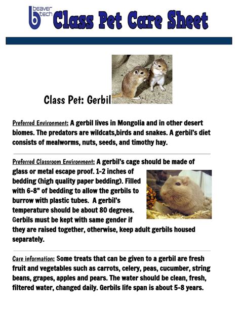 Gerbil pet care sheet (table 3) by Anyela Ariza (TechAngieAriza) - Issuu