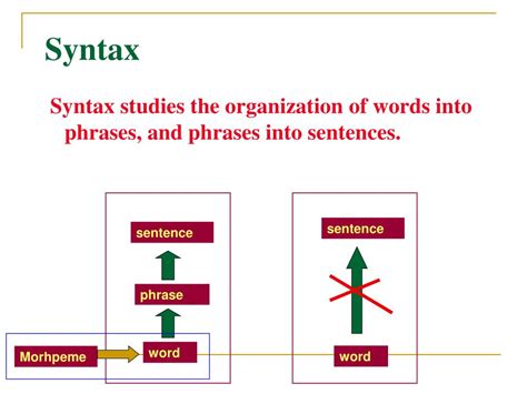 PPT - Introduction to Linguistics Chapter 4: Syntax PowerPoint Presentation - ID:3818365