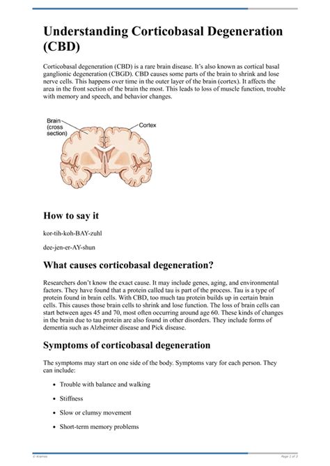 Corticobasal Syndrome Treatment