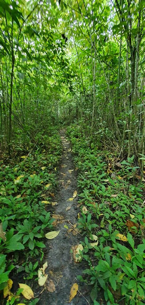 Historical japanese tunnel and nature park - Home | Facebook