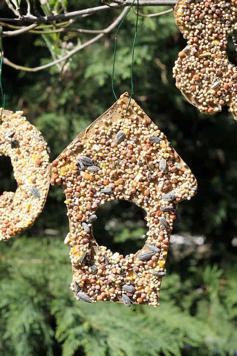 EASY BIRDSEED ORNAMENTS -- fun garden craft for kids.