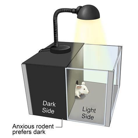 Light/Dark Preference (Emergence Neophobia)