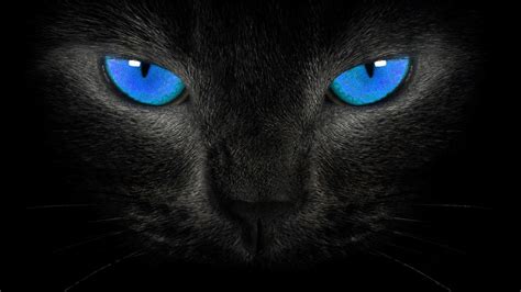 Black Cat 3D Wallpapers - Top Free Black Cat 3D Backgrounds - WallpaperAccess