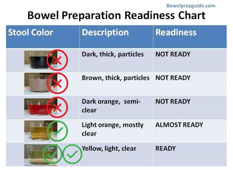 Preparation for Colonoscopy | Gastroenterology & Liver | Liverpool Hospital