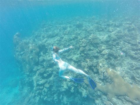 Snorkeling in Fiji | Instagram, Photo, Instagram photo