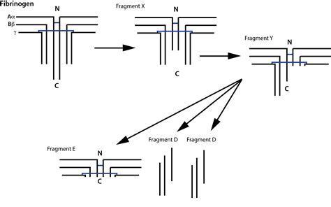 Fibrinogen Degradation Products [FDPs]