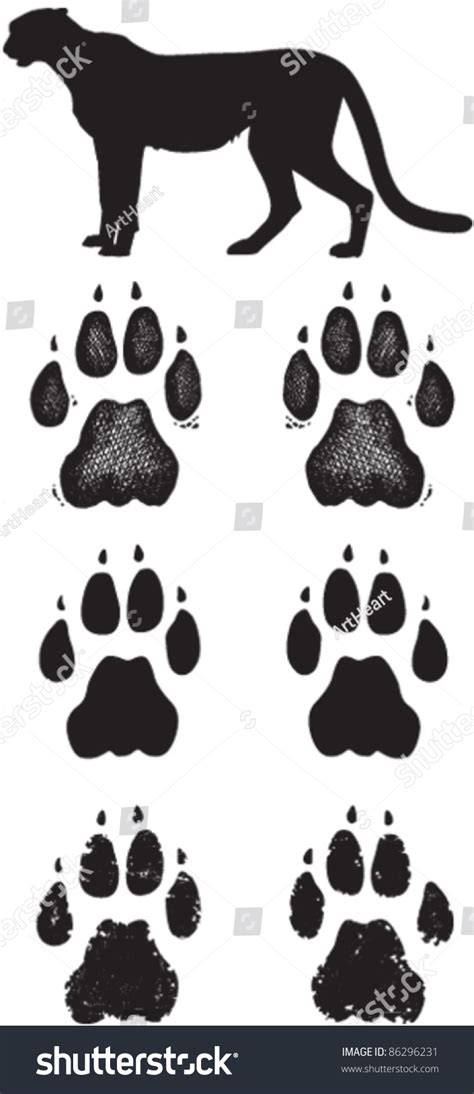 Cheetah Paw Print Drawing