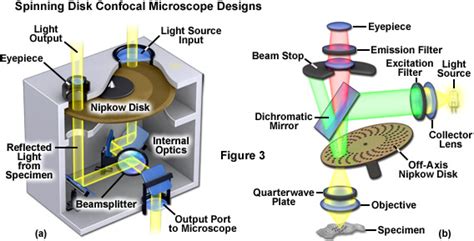 ZEISS Microscopy Online Campus | Digital Imaging Considerations