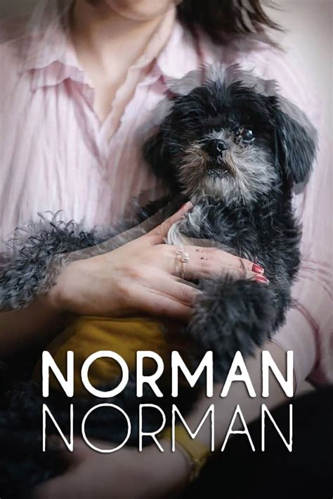 Norman Norman | Rotten Tomatoes