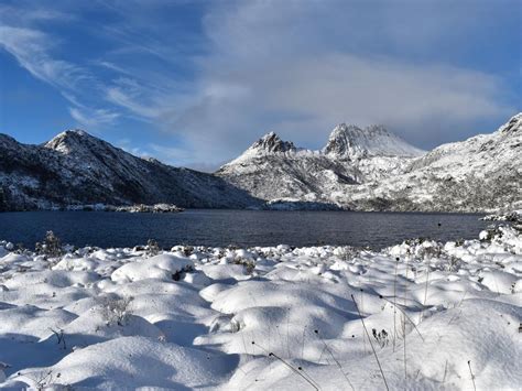 Tasmanian weather has wombats and bushwalkers enjoying the snow | Daily Telegraph