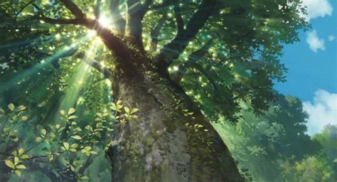 Studio Ghibli Wallpaper Trees - 1600x866 Wallpaper - teahub.io