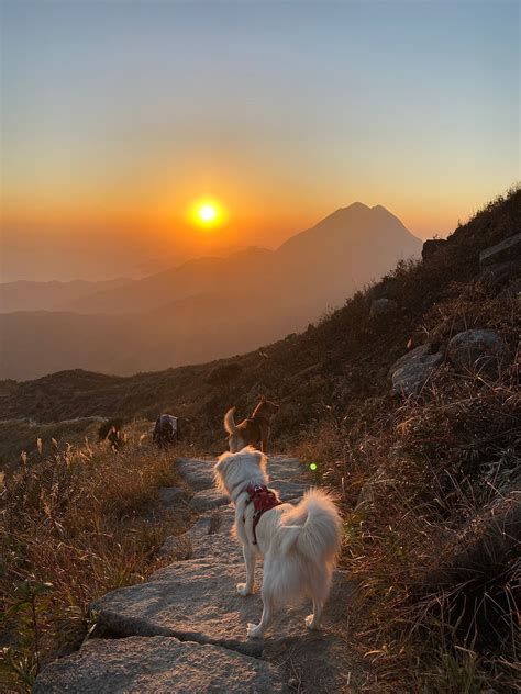 The Lantau Trail Hiking Guide: Our Recommended Hike Plan