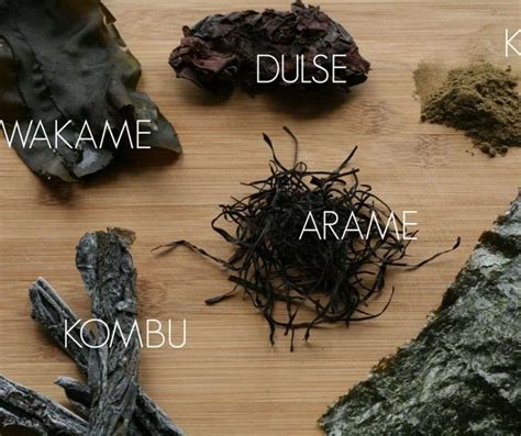 Kombu Seaweed Benefits