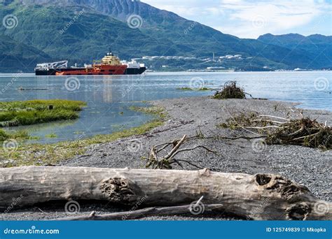 Shoreline of Old Town Valdez Alaska. Log in Foreground. Commerical Ship in Background ...