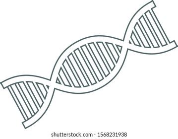 Dna Icon Dna Symbol Vector Illustration Stock Vector (Royalty Free) 1568231938 | Shutterstock