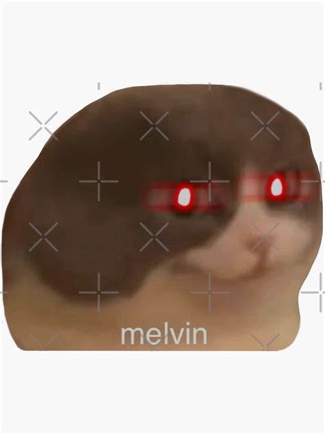 "Melvin Cat Meme" Sticker for Sale by surrile | Redbubble