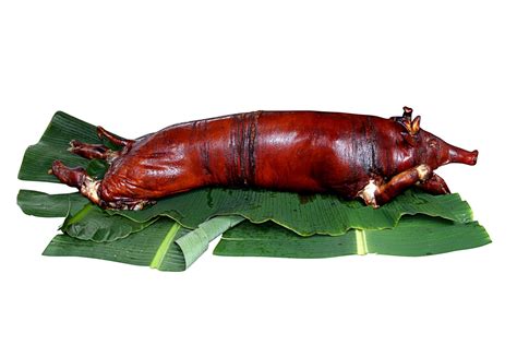 Free Lechon Baboy (Roast Pig) Stock Photo - FreeImages.com