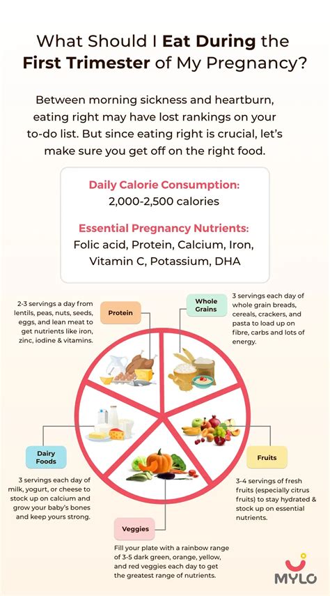 How to Maintain Your Nutrition During Pregnancy?