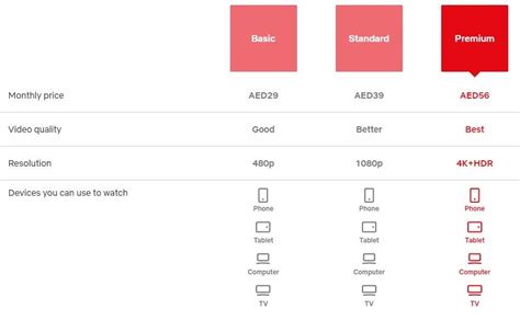 Netflix Packages in UAE - Netflix Subscription Details - 2024 - INCPak