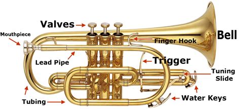 Musical Terms Glossary - Brass | Normans Music Blog