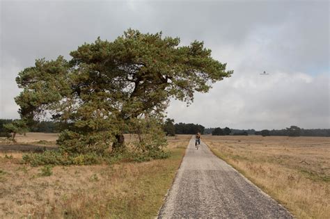 Beautiful landscapes: De Hoge Veluwe National Park — The Mint Story