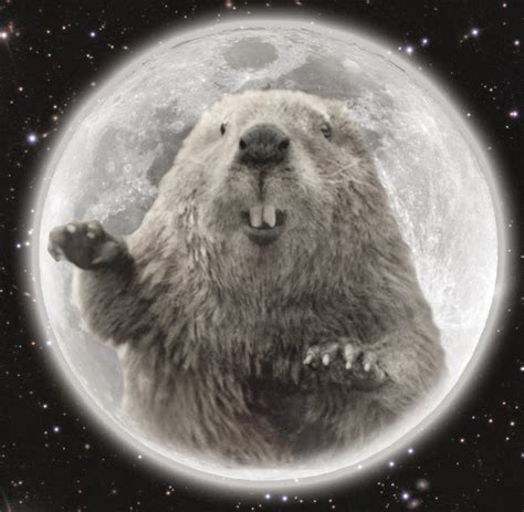 JA esoterics: November Full Beaver Moon Ceremony