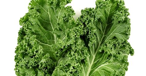 Is Kale Lettuce? - The Cookful