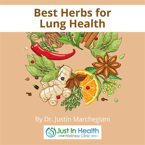 Best Herbs for Lung Health