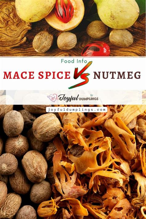 Mace vs Nutmeg - Are Mace Spice and Nutmeg The Same? » Joyful Dumplings