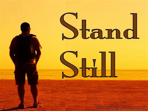 Stand Still - Daily Devotional