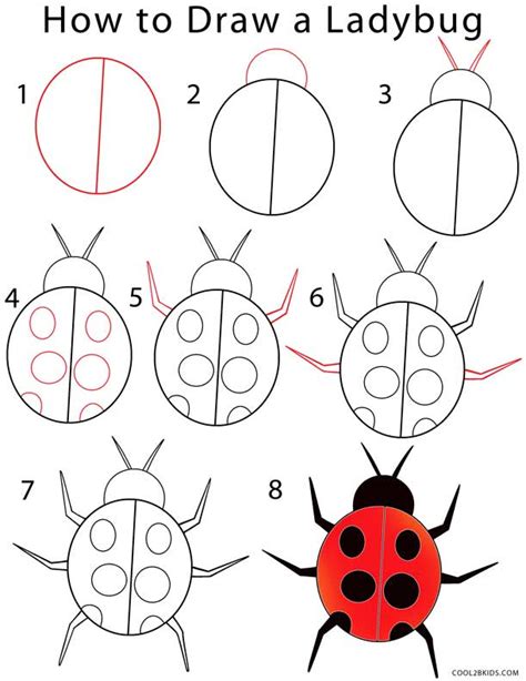 Amazing How To Draw A Ladybug Step By Step of the decade The ultimate guide | howtodrawline5