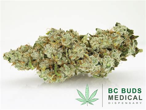 Buy White Lightning Strain, Online Weed Dispensary Canada