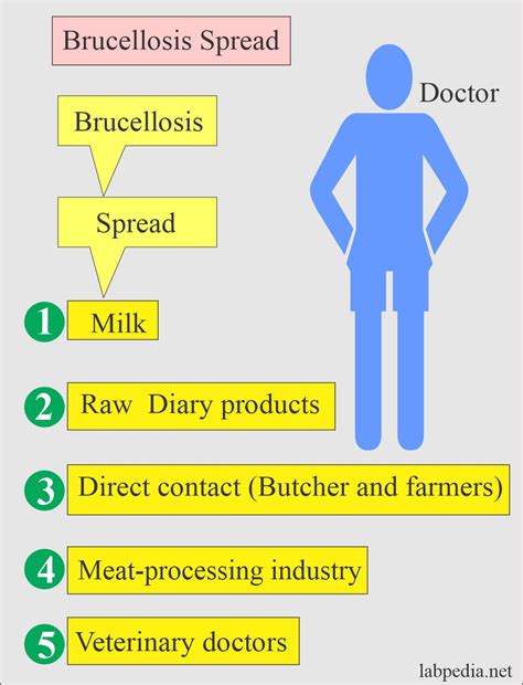 Brucellosis, Diagnosis of Brucella Infection - Labpedia.net