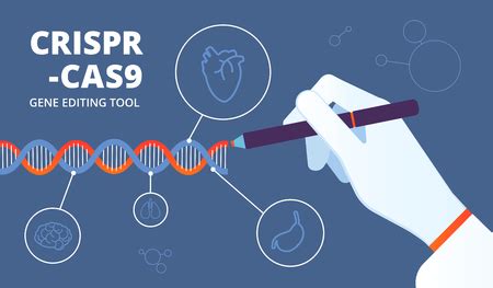 Vector of Crispr concept. Cas9 dna and - ID:124771055 - Royalty Free ...