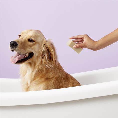 FIELDWORKS GRRR Dog Shampoo Bar with Neem & Castor Oil, 5.75-oz - Chewy.com