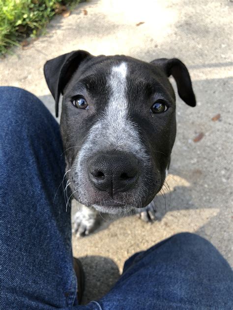 …when I can sit like this? | The Dogs of San Francisco