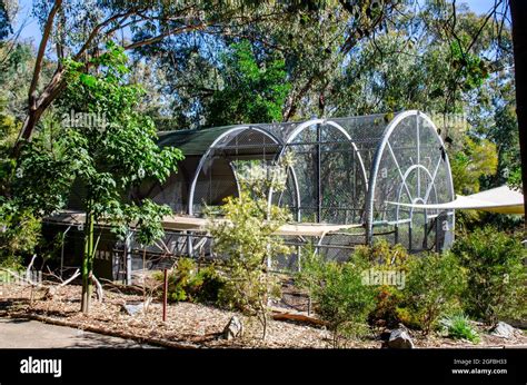 Aviary in bush setting at Marsupial Park Tamworth Australia Stock Photo ...