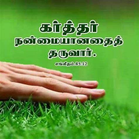 Pin on Tamil Bible verse