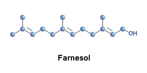 Farnesol sources, health risks