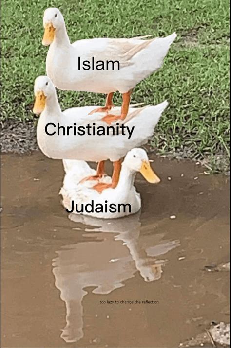 Added the third duck (original posted by u/QuestionableDonkey) : r/dankmemes