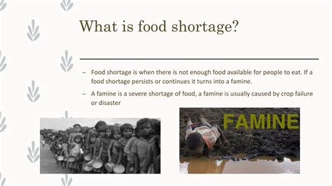 PPT - Food shortage PowerPoint Presentation, free download - ID:8957651