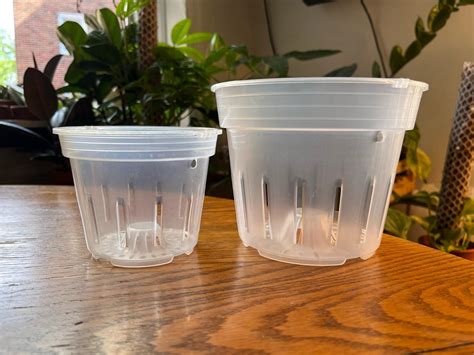 Clear Plastic Nursery Pot Extra Drainage 5 Pack for Houseplants, Hoyas ...