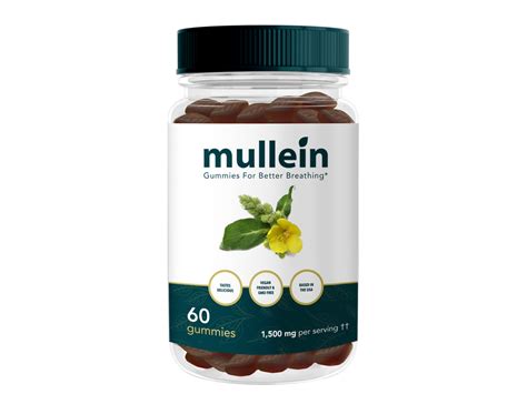 Quality Mullein Products To Enhance Your Breathing Naturally – Mullein.com