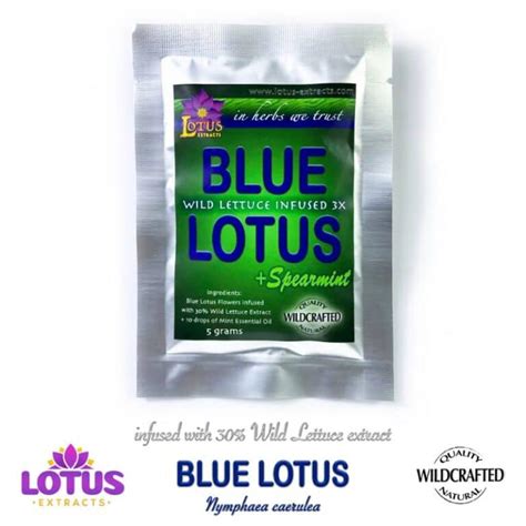 Step-By-Step Guide To Making Blue Lotus Extract At Home - Lotus Extracts