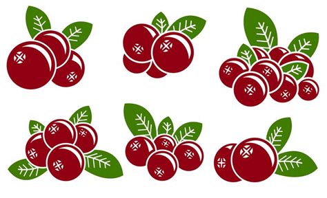 Collection of Cranberry clipart | Free download best Cranberry clipart on ClipArtMag.com