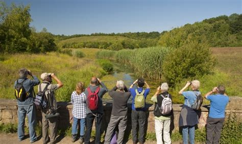 Courses and workshops | Dorset Wildlife Trust