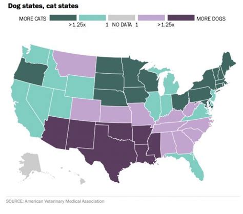 US: Cat states vs Dog States | Cat vs dog, Cats vs dogs, Map