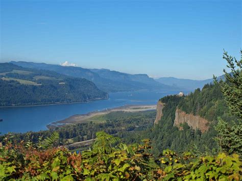 Figs N' Pecorino: Columbia River Gorge