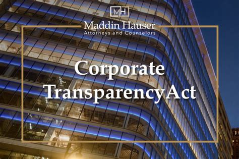 Corporate Transparency Act (CTA) Archives - Maddin Hauser