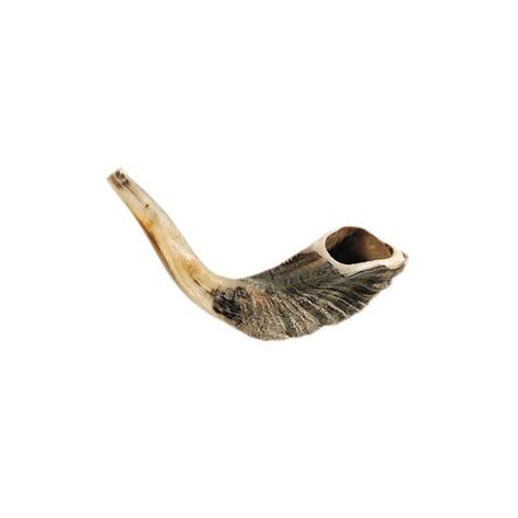 Ram Horn Shofar – Shofar Call Store